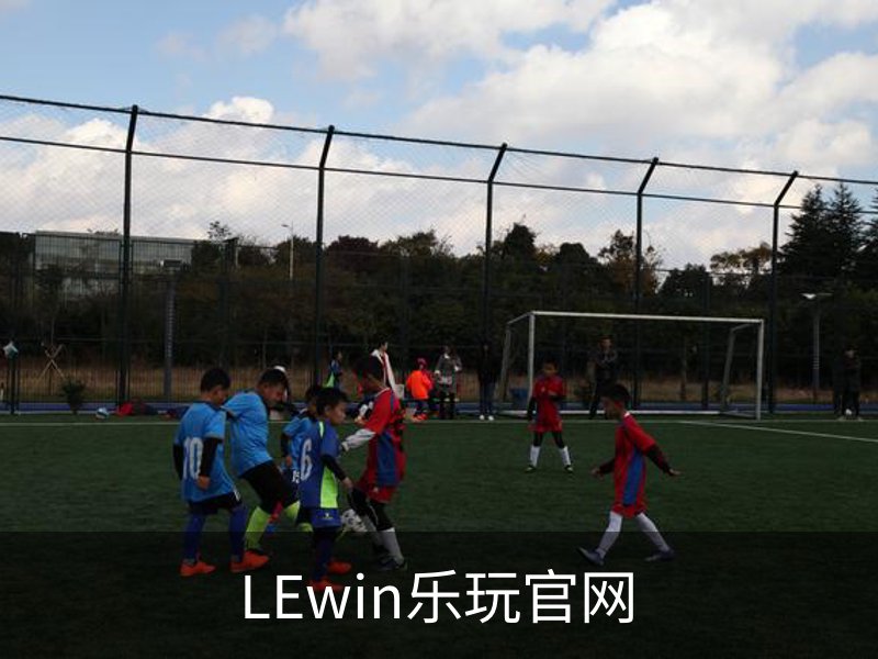 了解LEwin乐玩官网